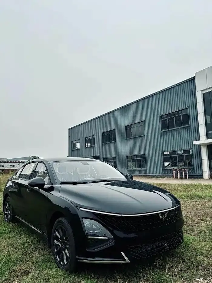 WuLing 2025 Starlight EV 610km Intelligent Flagship Automatic Gear 2