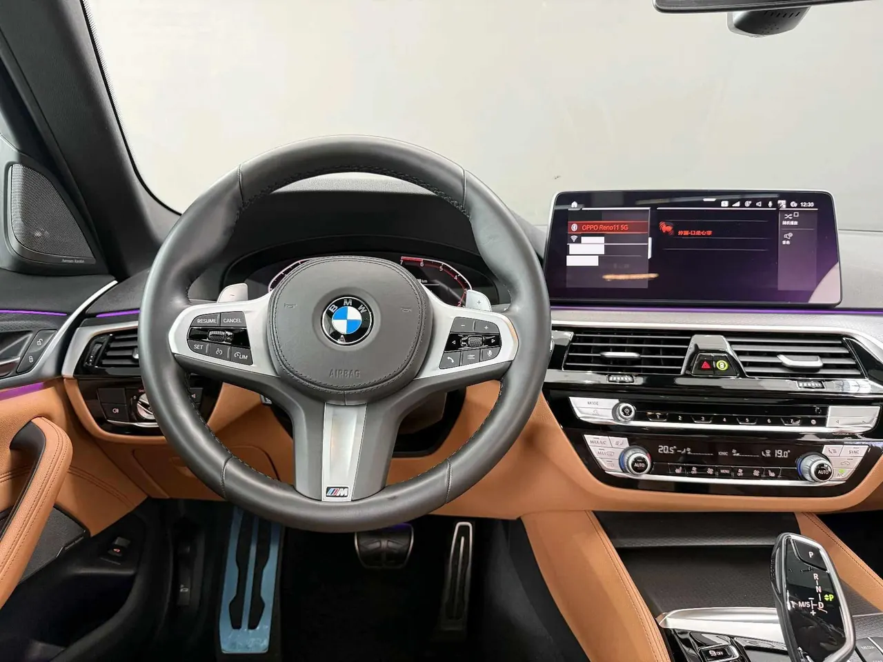 BMW 5 Series (Imported) 2021 530i 2.0T M Sports Suit Automatic Gear 9