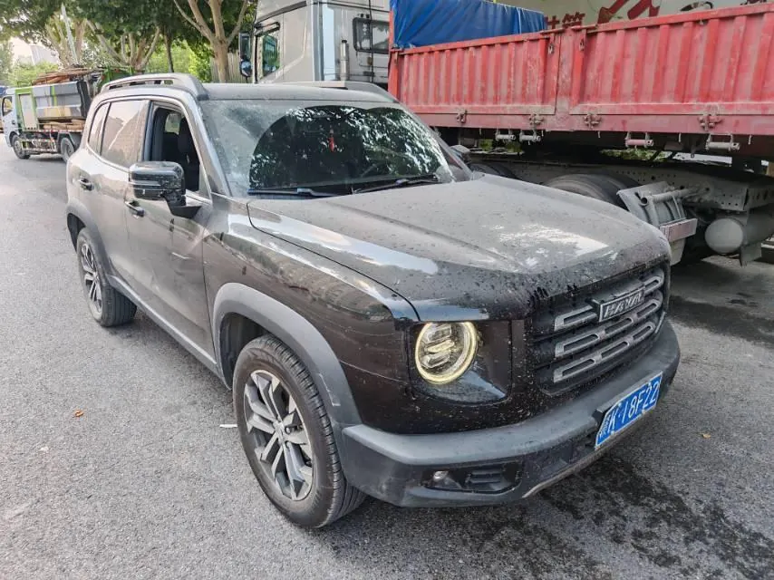 Haval 2022 big dogs 1.5T two-wheel-drive border animal husbandry version automatic gear 3