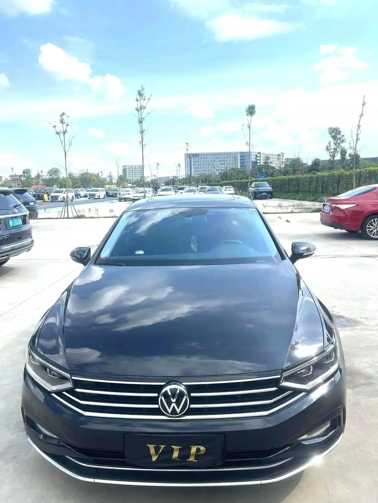 Volkswagen 2020 Magotan 2.0TSI 330TSI Leading Automatic 2