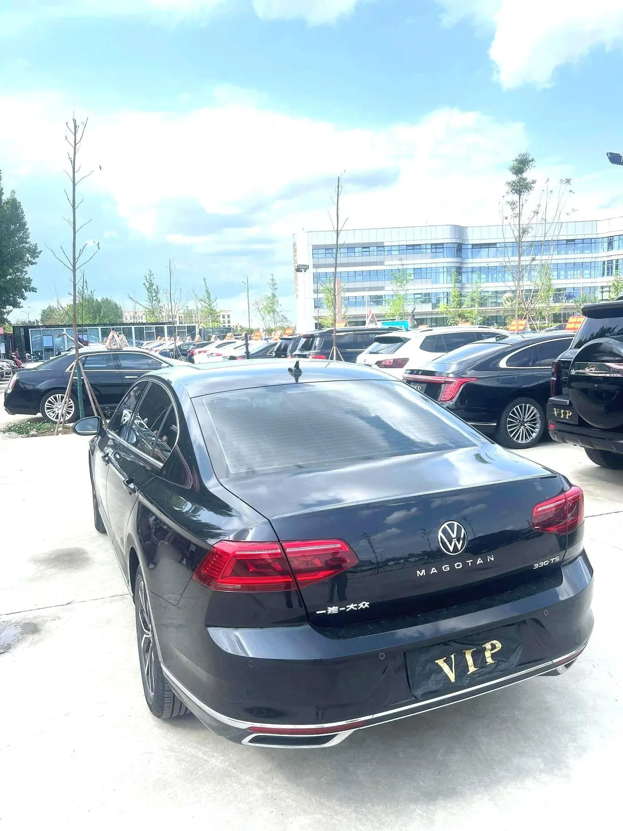 Volkswagen 2020 Magotan 2.0TSI 330TSI Leading Automatic 9
