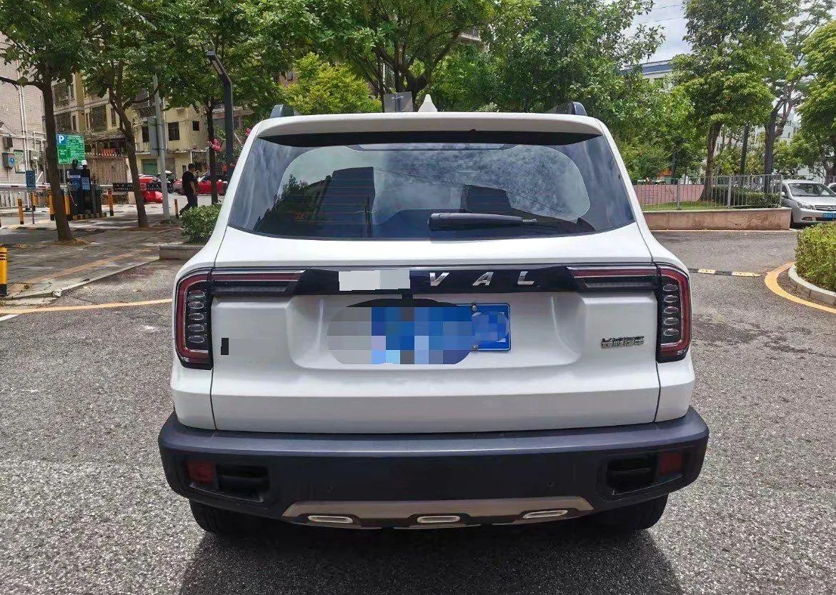 Haval 2020 big dog 1.5T horse dog version automatic gear 8
