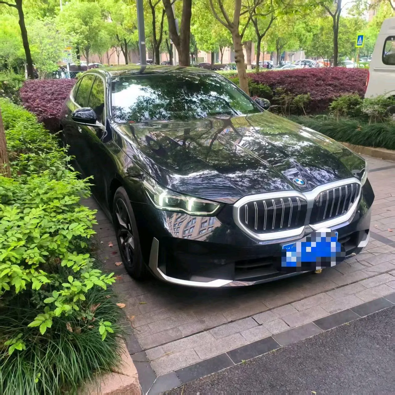 BMW 5 Series 2025 530Li 48V 2.0T Leading Luxury Suit Automatic Gear 3