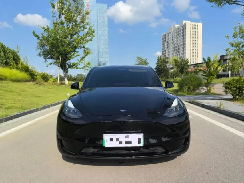 Tesla 2022 Model Y rear-wheel drive version (facelift) automatic gear 2