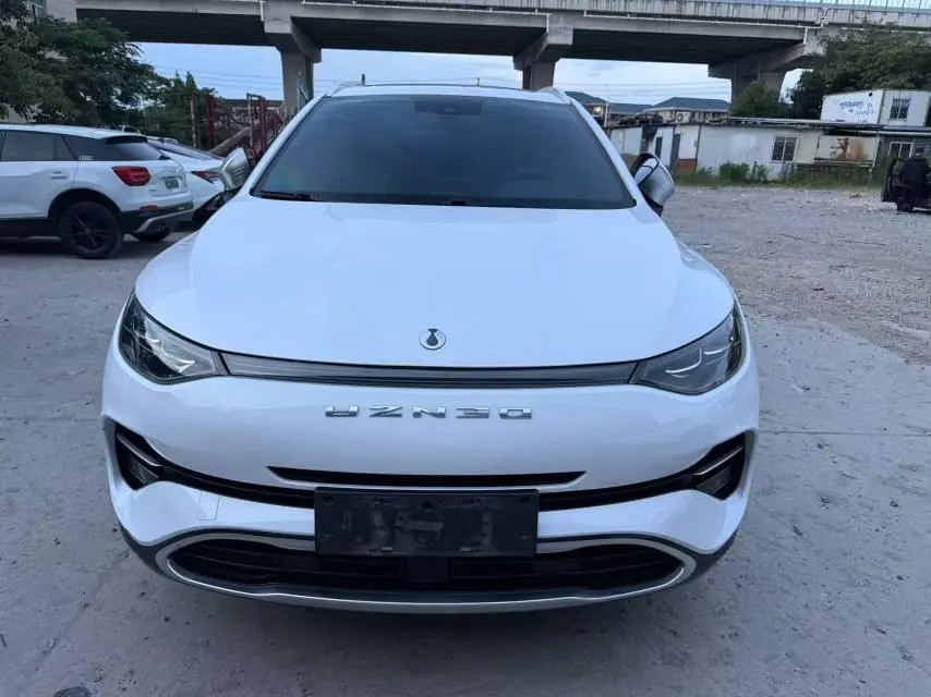 Denza 2020 Denza X PHEV 2.0T Ultimate Automatic Gear 2