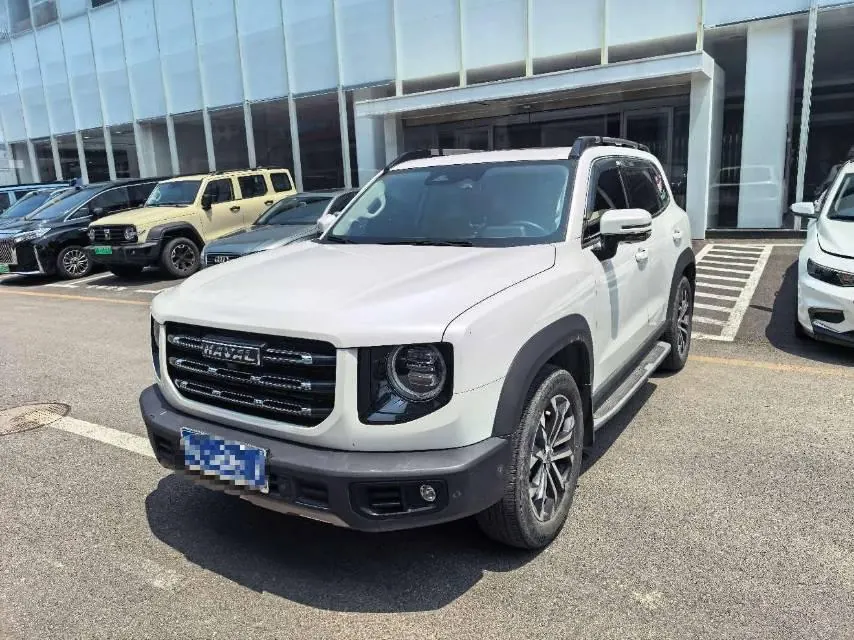 Haval 2020 big dog 1.5T horse dog version automatic gear - View 1