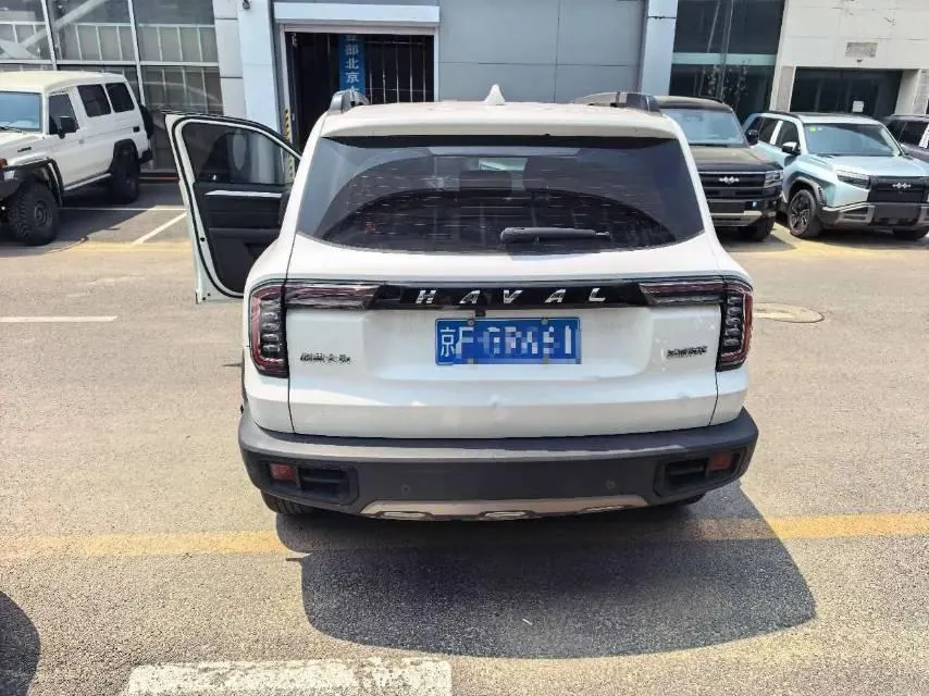 Haval 2020 big dog 1.5T horse dog version automatic gear 6