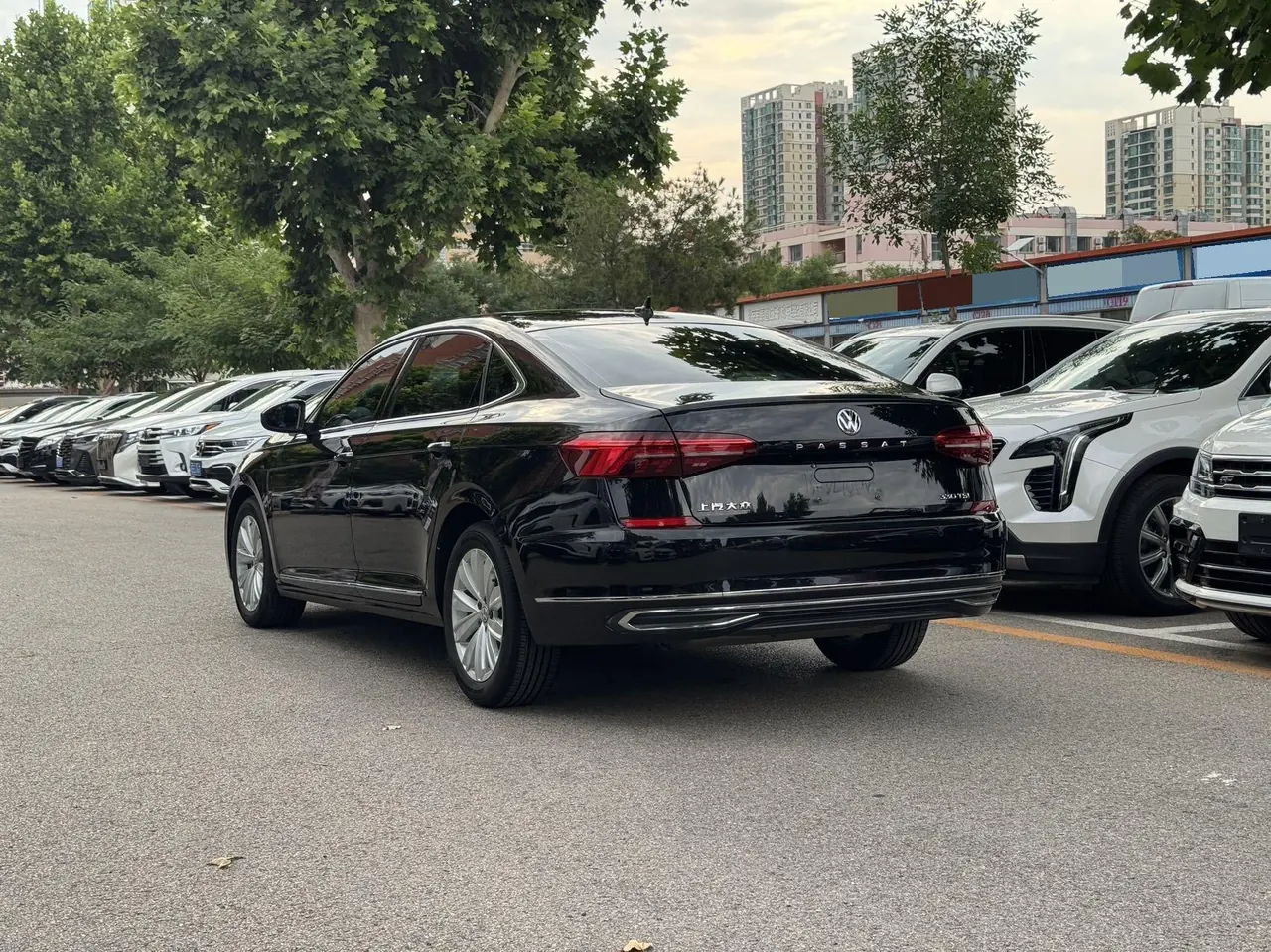 Volkswagen 2020 Passat 2.0TSI 330TSI Elite Edition Automatic 3