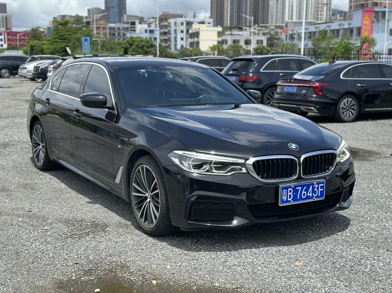 BMW 5 Series 2020 530Li 2.0T Leading Luxury Suit Automatic Gear 3