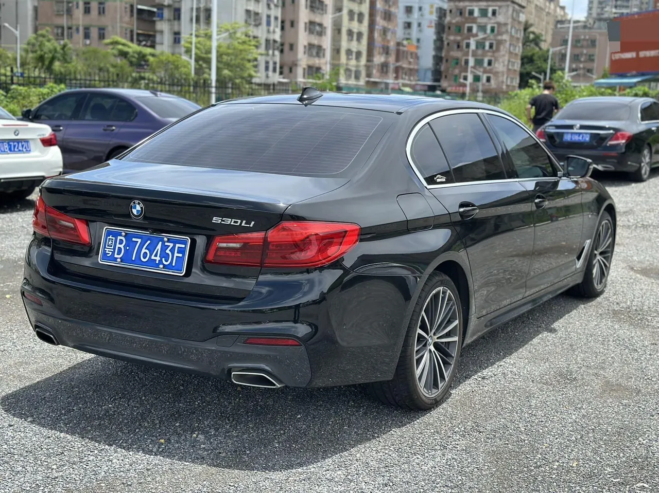 BMW 5 Series 2020 530Li 2.0T Leading Luxury Suit Automatic Gear 6