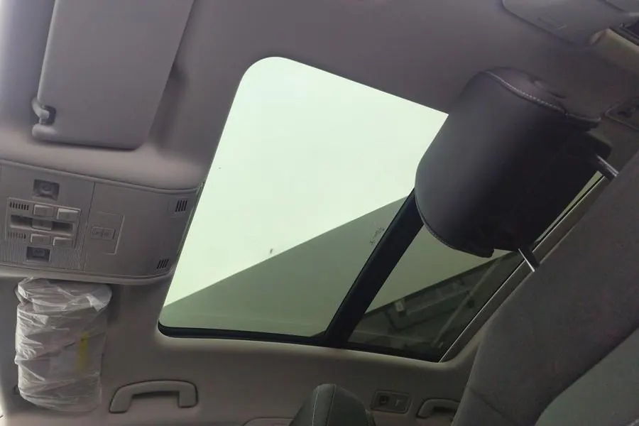 Volkswagen 2020 Magotan 2.0TSI 330TSI Leading Automatic 5
