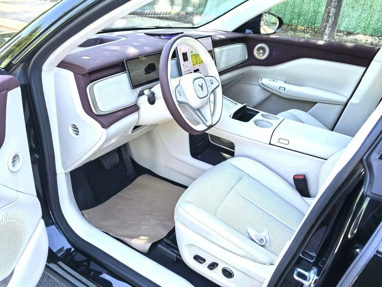 Voyah 2025 bosom friend four-wheel drive dry Kun version automatic gear 6
