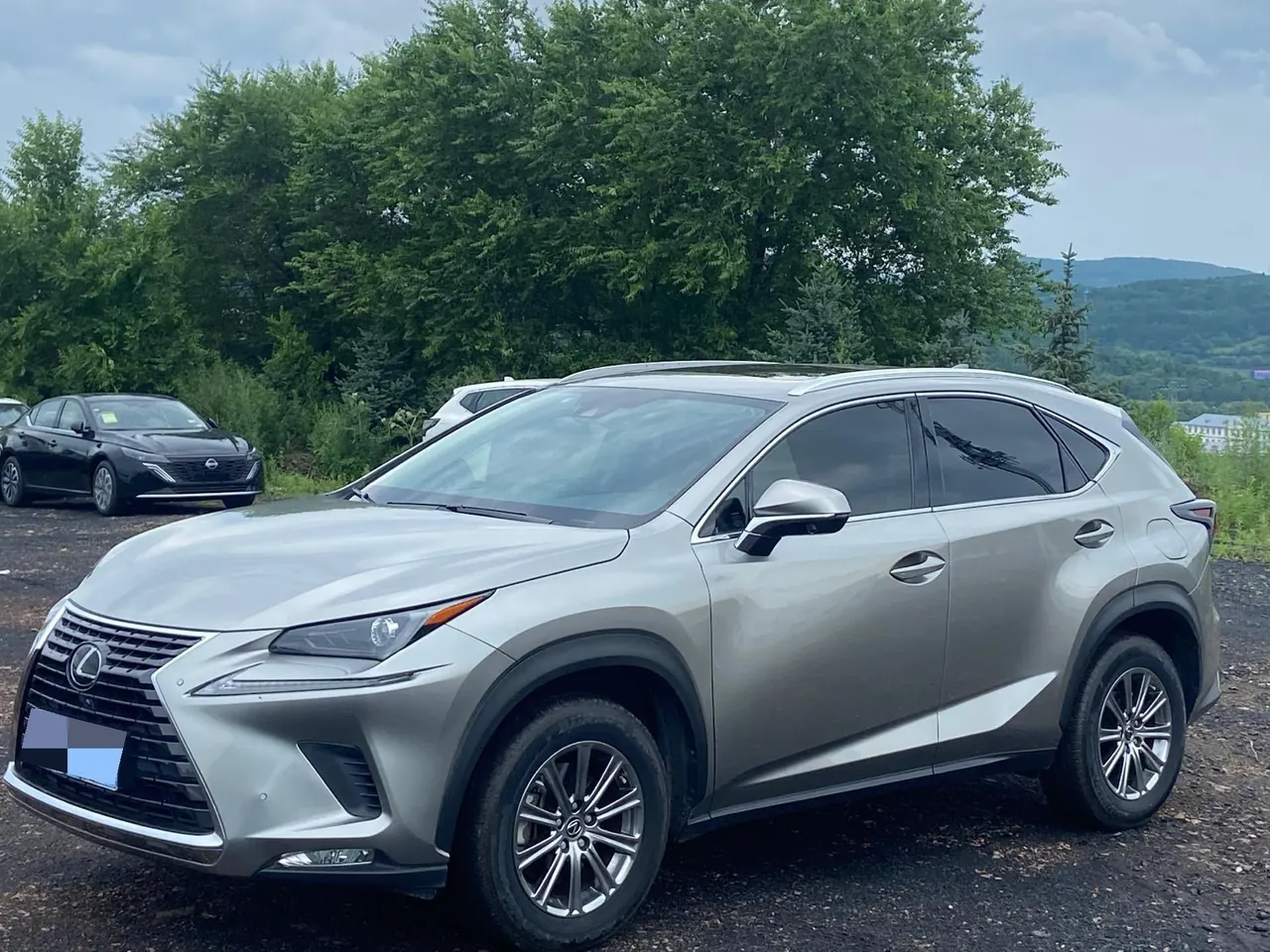 Lexus NX (Imported) 2020 NX200 2.0 Stepless Front Edition Automatic Gear - View 1