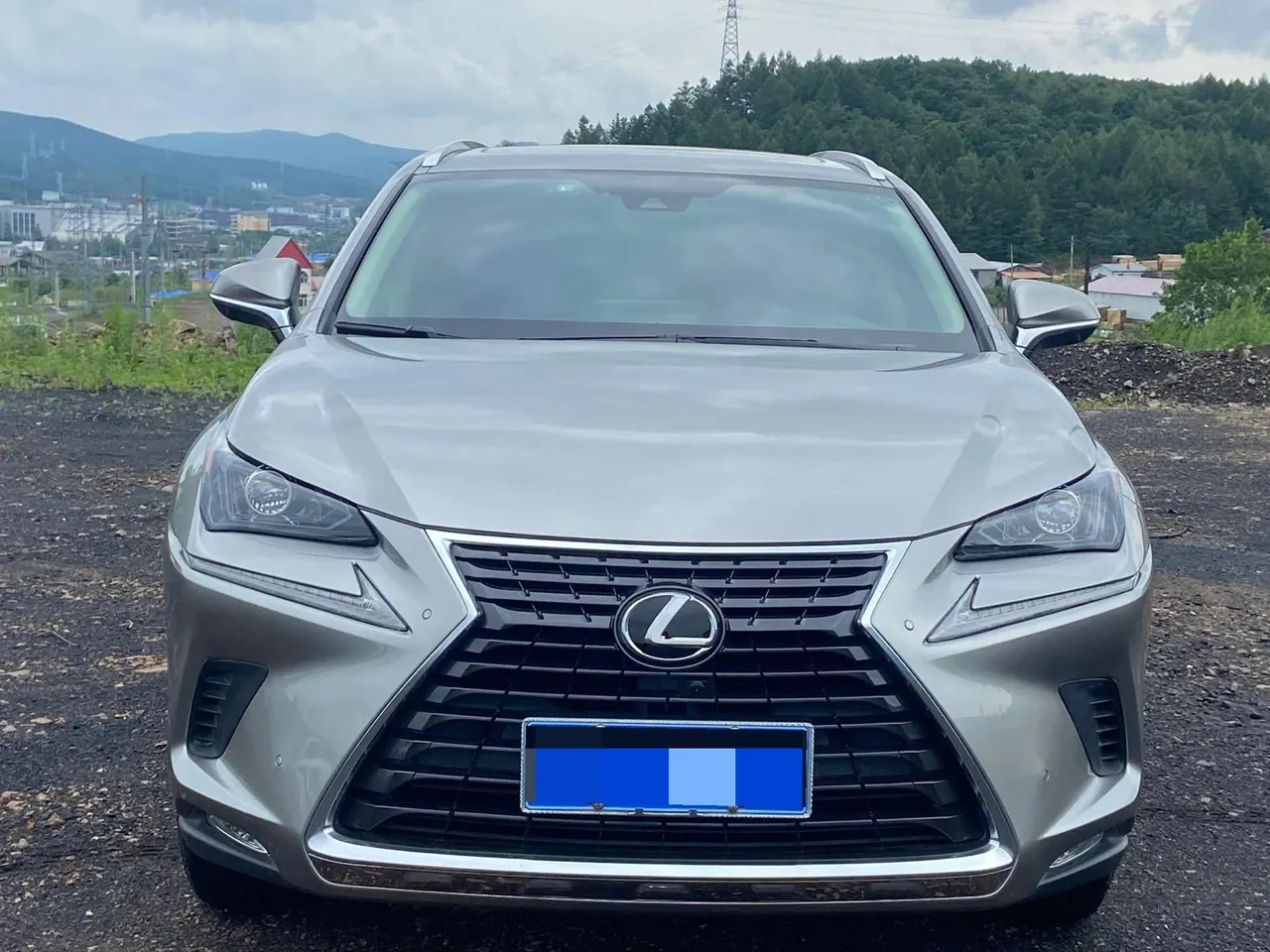 Lexus NX (Imported) 2020 NX200 2.0 Stepless Front Edition Automatic Gear 2