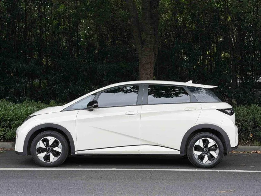 BYD 2025 Dolphins 420km Free Edition Automatic 2
