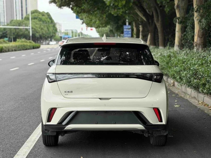 BYD 2025 Dolphins 420km Free Edition Automatic 3