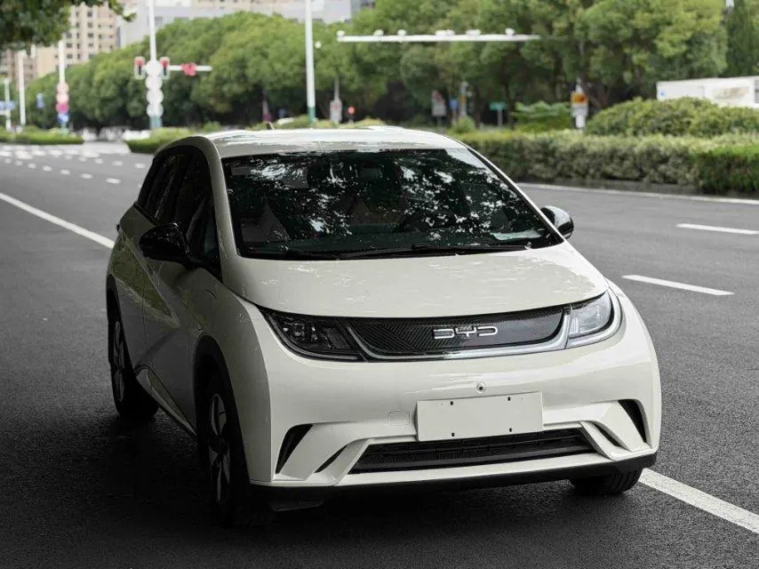 BYD 2025 Dolphins 420km Free Edition Automatic 4