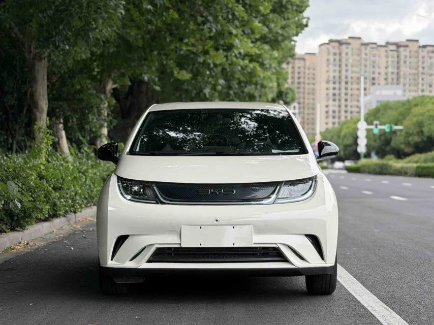 BYD 2025 Dolphins 420km Free Edition Automatic 5