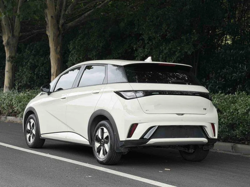 BYD 2025 Dolphins 420km Free Edition Automatic 6