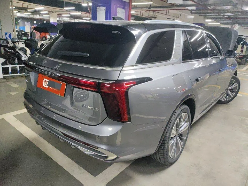 HongQi 2021 E-HS9 Flag Chang 6-seat Automatic 3