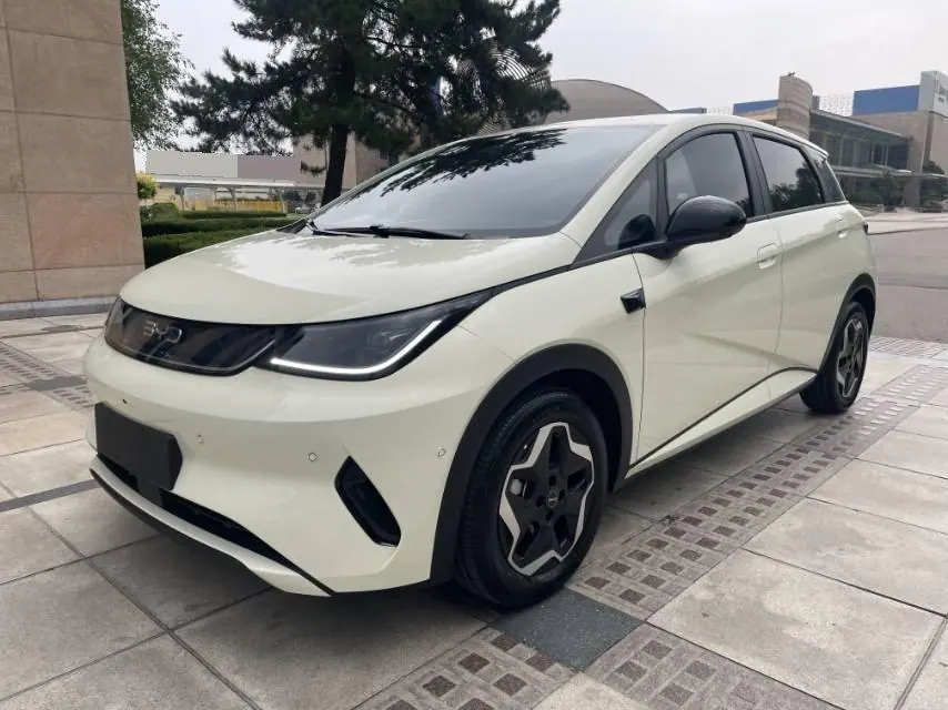 Open image lightbox: BYD 2025 Dolphin Smart Driving 420km Free Automatic