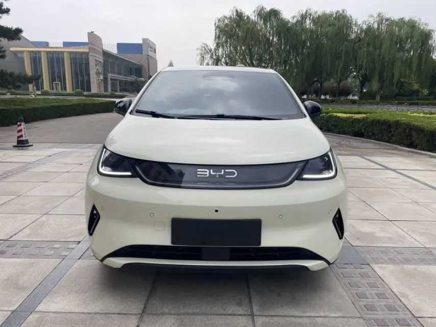 BYD 2025 Dolphin Smart Driving 420km Free Automatic 2