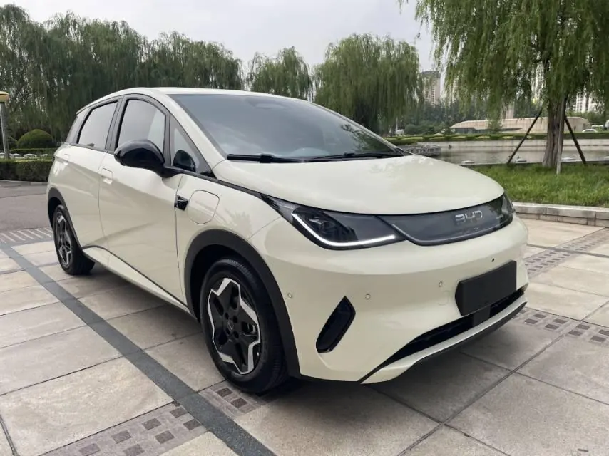 BYD 2025 Dolphin Smart Driving 420km Free Automatic 3