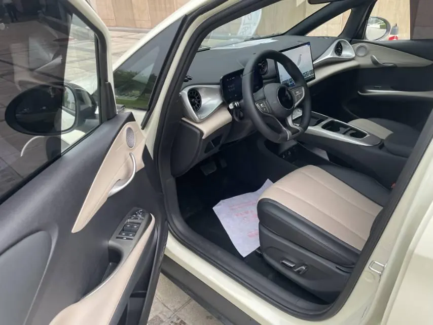 BYD 2025 Dolphin Smart Driving 420km Free Automatic 4
