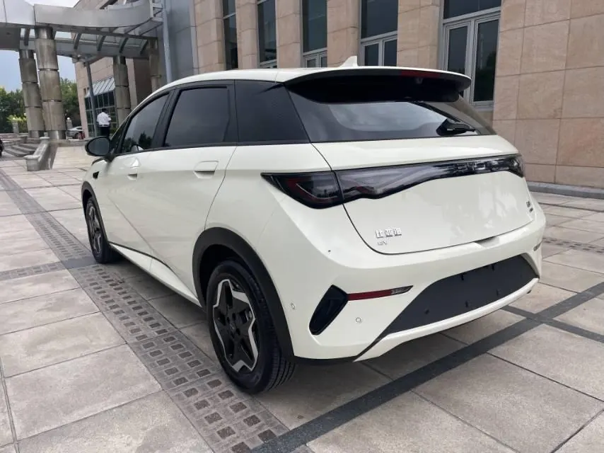 BYD 2025 Dolphin Smart Driving 420km Free Automatic 7