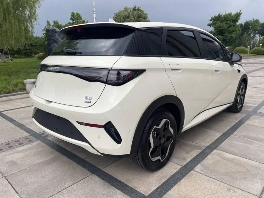 BYD 2025 Dolphin Smart Driving 420km Free Automatic 8