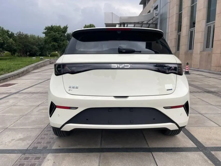 BYD 2025 Dolphin Smart Driving 420km Free Automatic 9