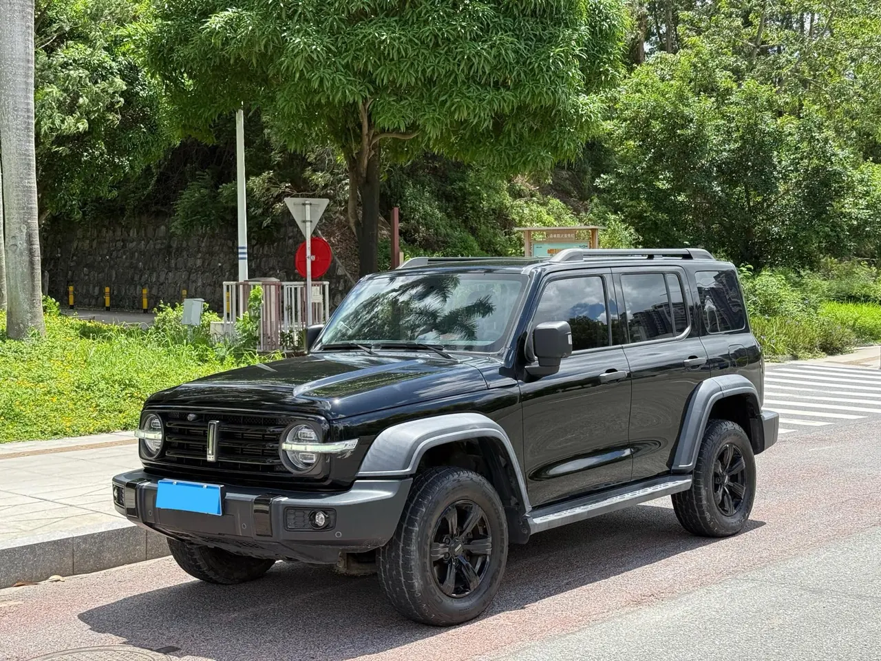 Tank 2021 Tank 300 2.0T Off-road Conqueror Automatic - View 1