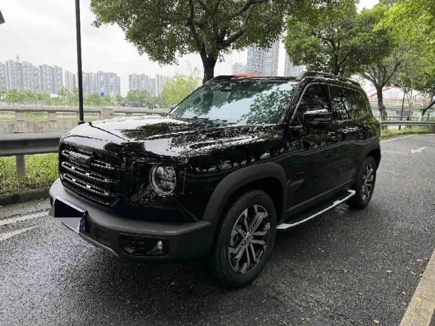 Haval 2021 Big Dogs 1.5T Border Animal Husbandry Wangcai Edition Automatic Gear - View 1