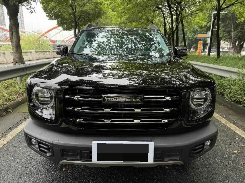 Haval 2021 Big Dogs 1.5T Border Animal Husbandry Wangcai Edition Automatic Gear 2