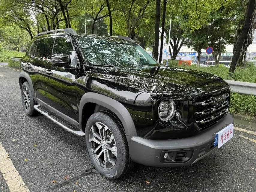 Haval 2021 Big Dogs 1.5T Border Animal Husbandry Wangcai Edition Automatic Gear 3