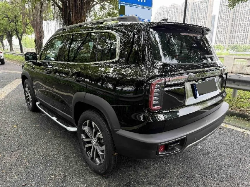 Haval 2021 Big Dogs 1.5T Border Animal Husbandry Wangcai Edition Automatic Gear 6