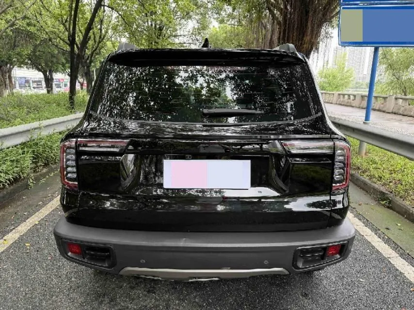 Haval 2021 Big Dogs 1.5T Border Animal Husbandry Wangcai Edition Automatic Gear 7