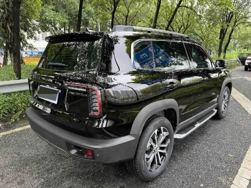 Haval 2021 Big Dogs 1.5T Border Animal Husbandry Wangcai Edition Automatic Gear 9