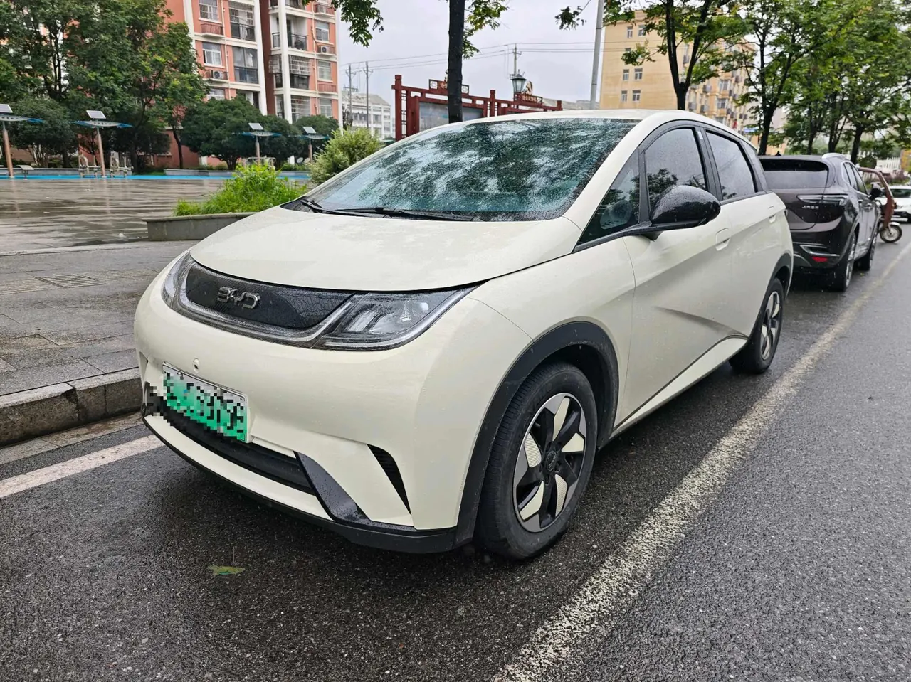Open image lightbox: BYD 2024 Dolphin Glory 420km Free Automatic