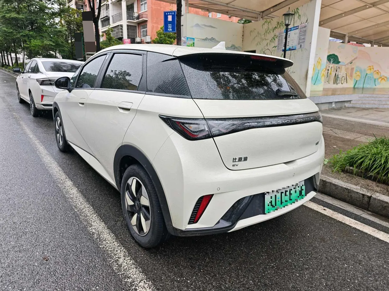 BYD 2024 Dolphin Glory 420km Free Automatic 5