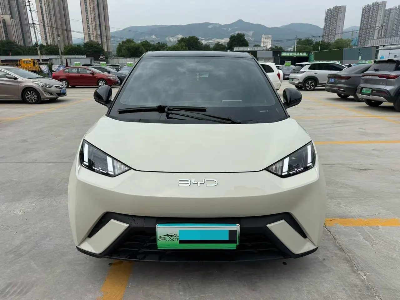 BYD 2024 Seagull Glory 305km Free Automatic Gear 2