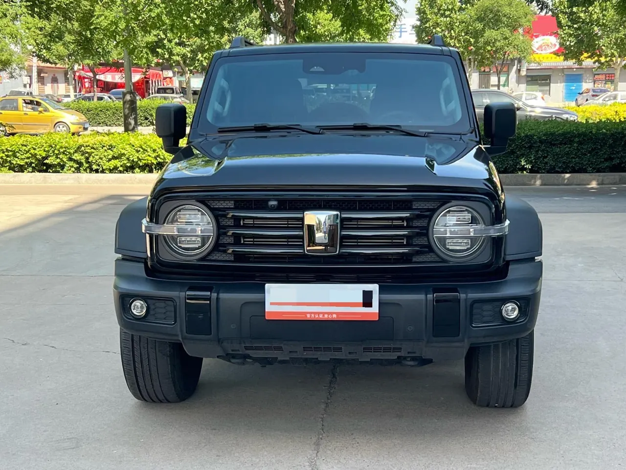 Tank 2023 Tank 300 2.0T Off-road Conqueror Automatic 2