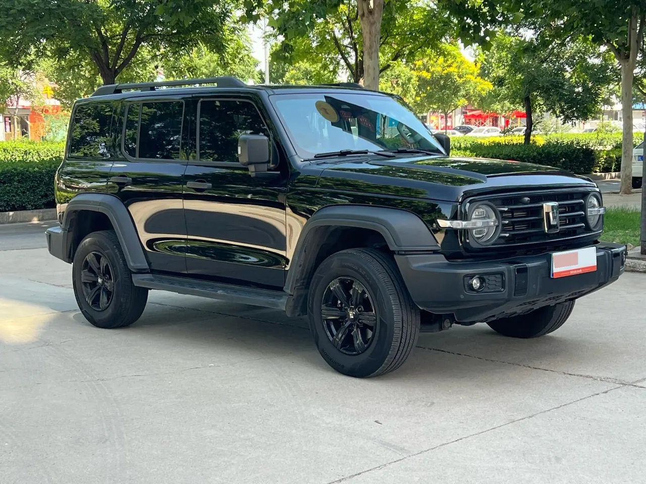 Tank 2023 Tank 300 2.0T Off-road Conqueror Automatic 3