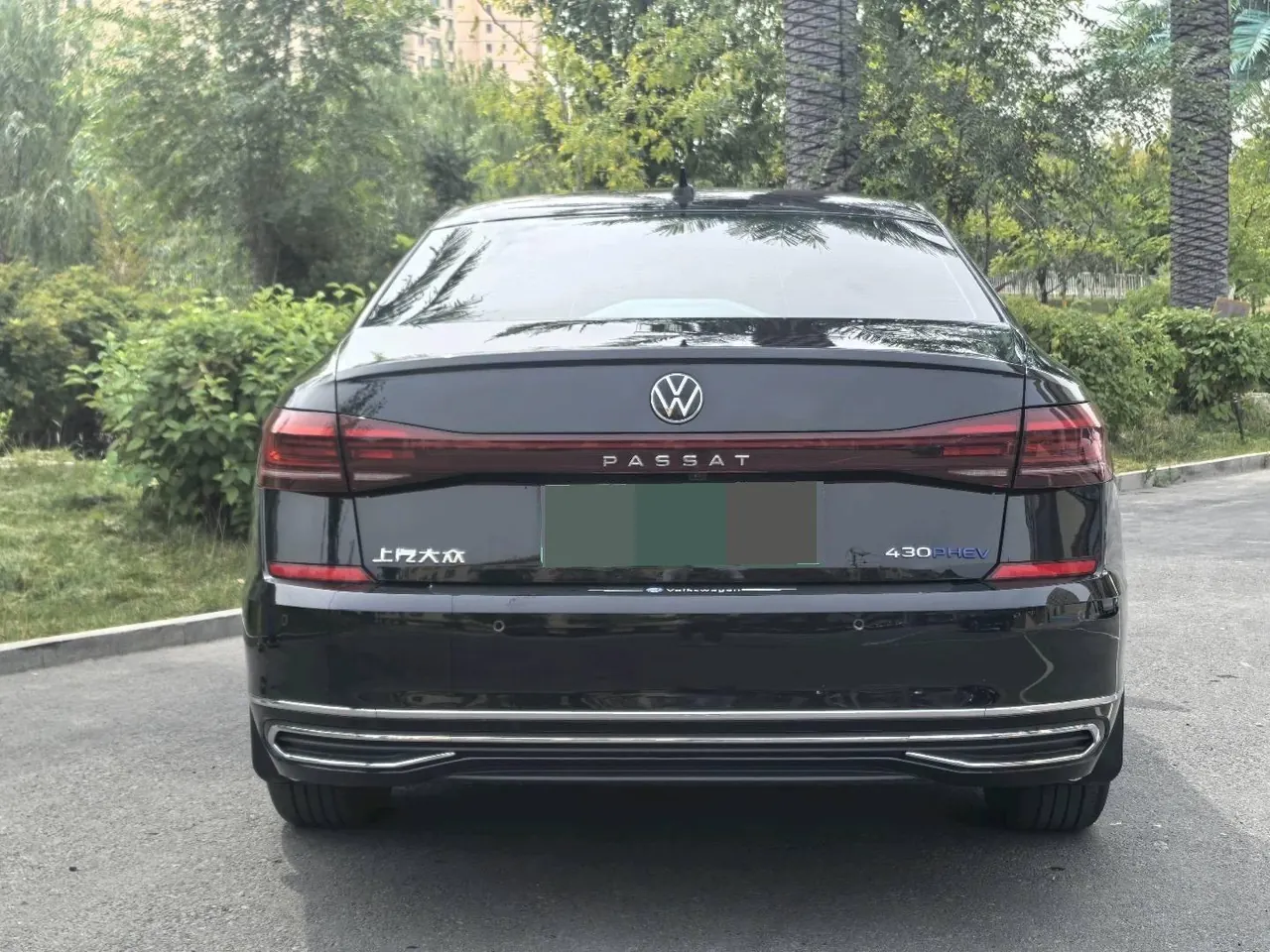 Volkswagen Passat New Energy 2023 Passat PHEV 1.4T 430 Elite Automatic Gear 8