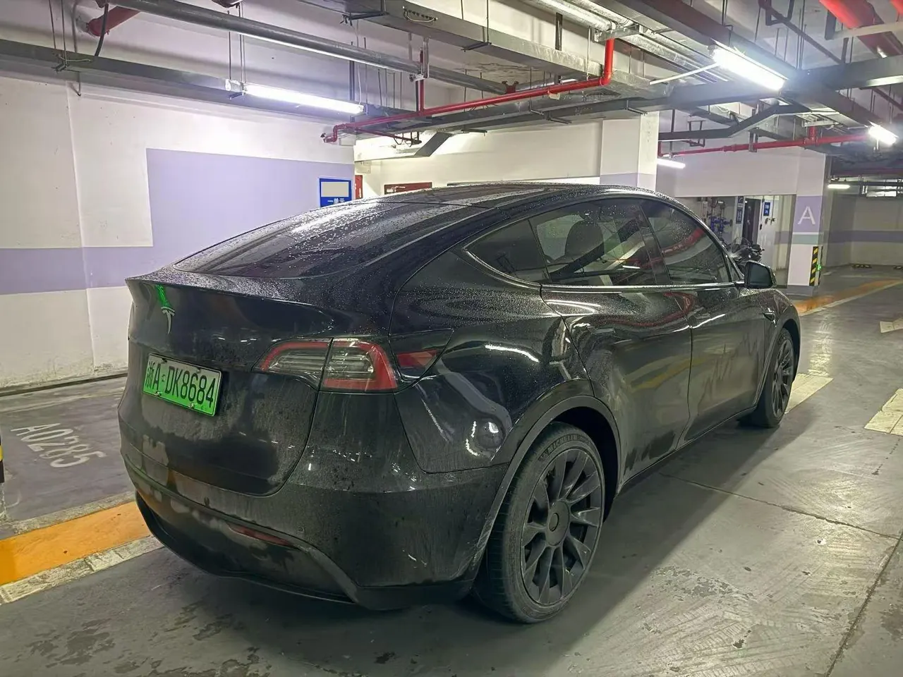 Tesla 2021 Model Y Standard Endurance Rear Drive Automatic Gear 3