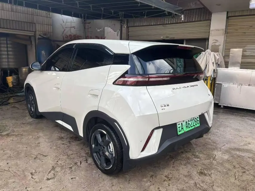 BYD 2023 seagull flying version automatic gear 6
