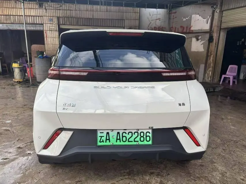 BYD 2023 seagull flying version automatic gear 7