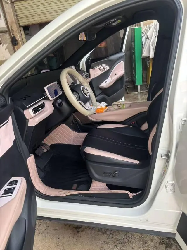 BYD 2023 seagull flying version automatic gear 8
