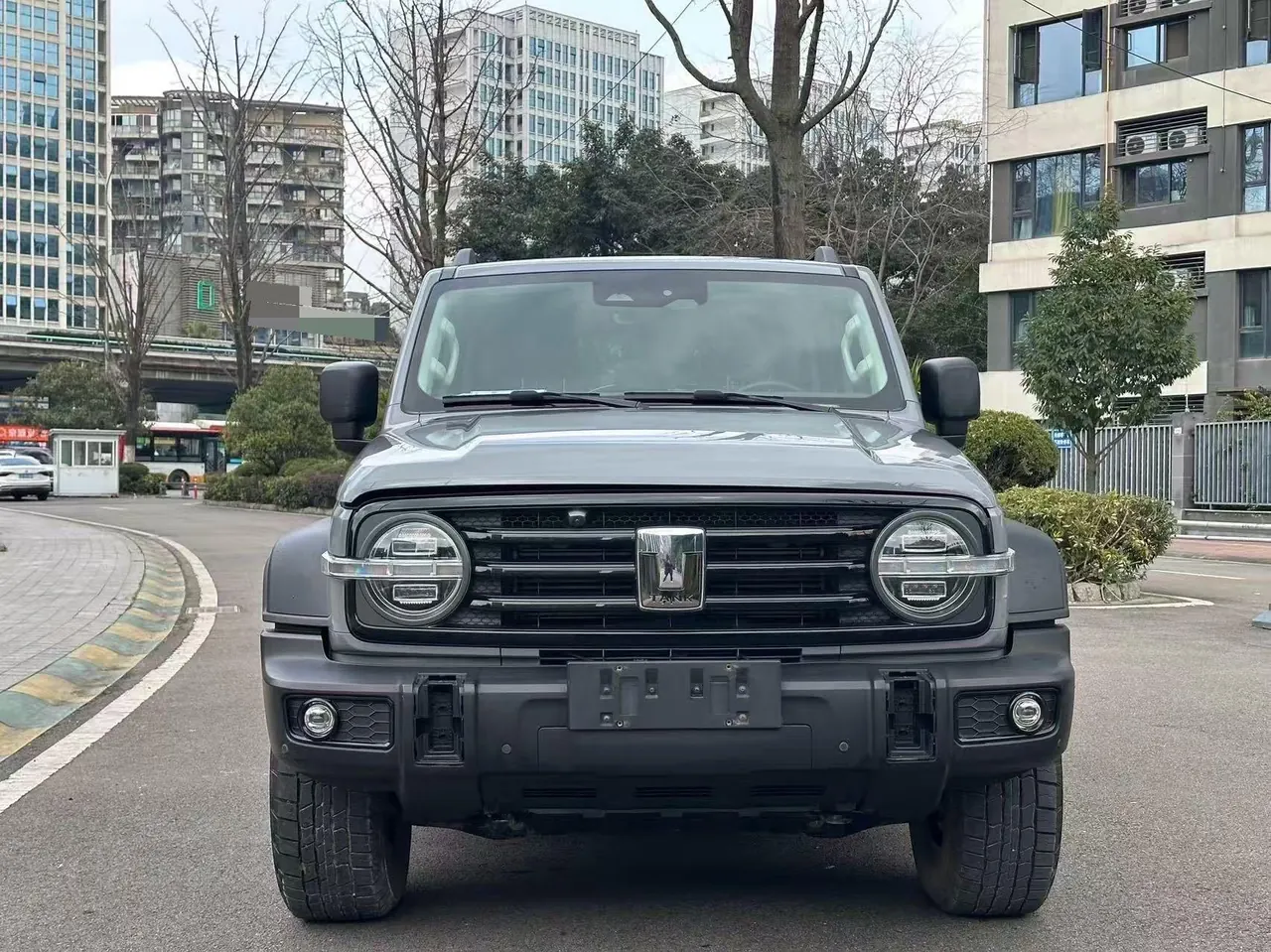 Tank 2023 Tank 300 2.0T Off-road Conqueror Automatic 2