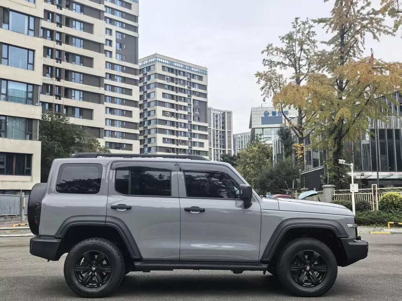 Tank 2023 Tank 300 2.0T Off-road Conqueror Automatic 9